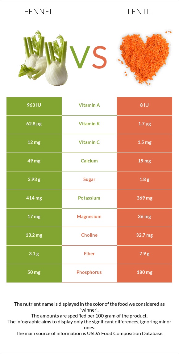 Fennel vs Lentil infographic