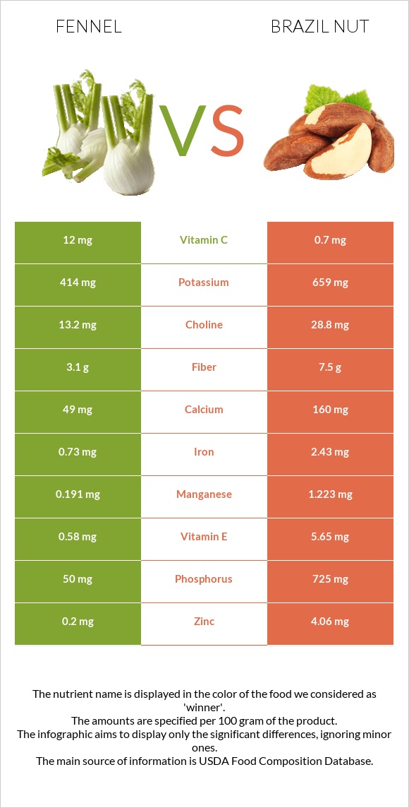 Fennel vs Brazil nut infographic