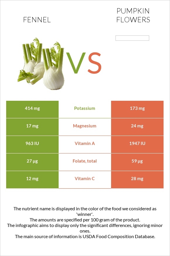 Ֆենխել vs Pumpkin flowers infographic