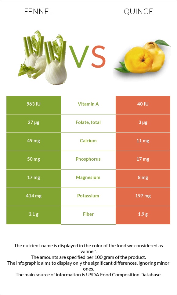 Fennel vs Quince infographic