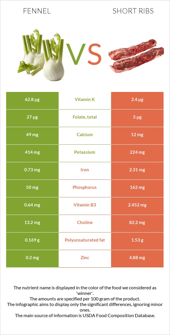 Fennel vs Short ribs infographic