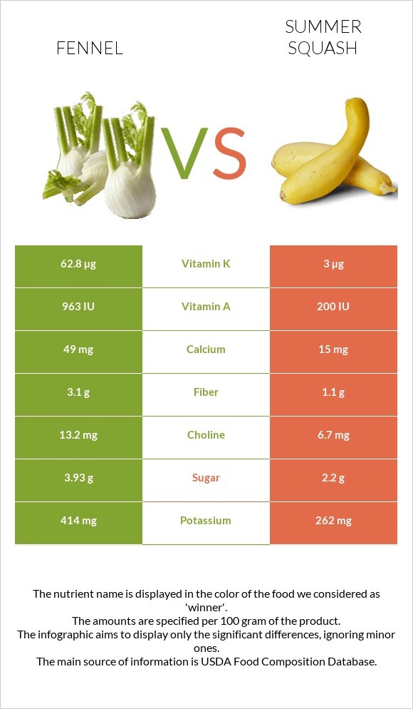 Fennel vs Summer squash infographic