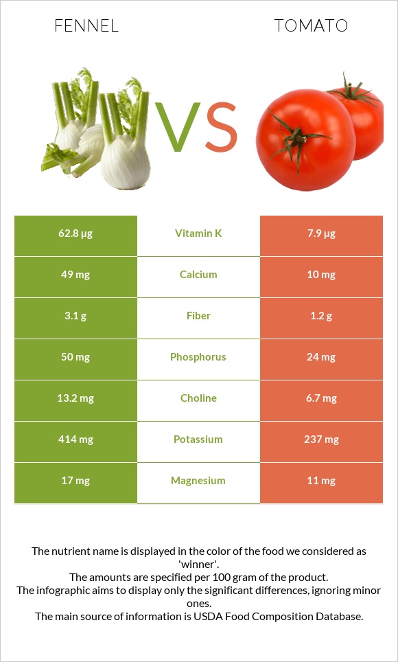 Fennel vs Tomato infographic