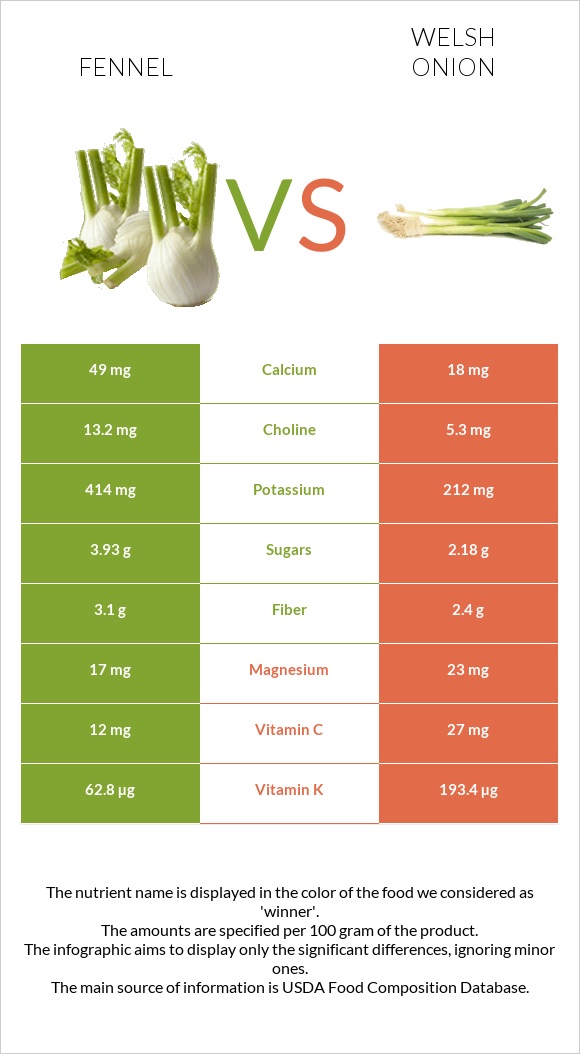 Fennel vs Welsh onion infographic