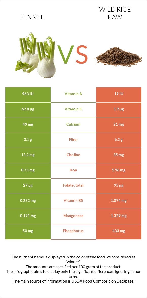 Fennel vs Wild rice raw infographic