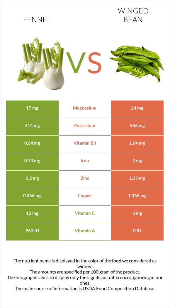 Fennel vs Winged bean infographic