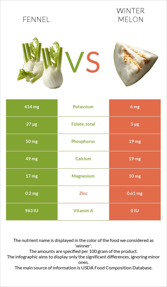 Fennel vs Winter melon infographic
