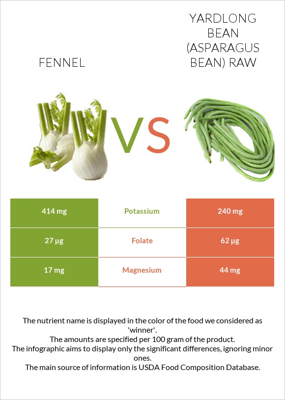 Fennel vs Yardlong bean (Asparagus bean) raw infographic