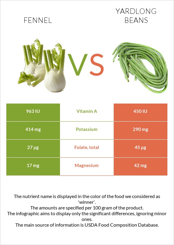 Fennel vs Yardlong bean (Asparagus bean) infographic