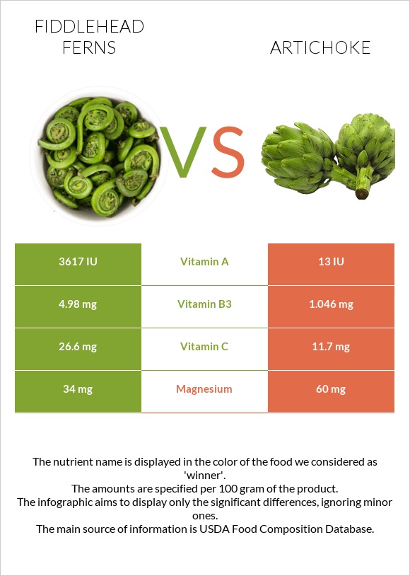 Fiddlehead ferns vs Artichoke infographic