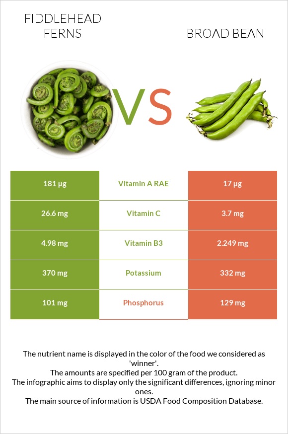Fiddlehead ferns vs Broad bean infographic