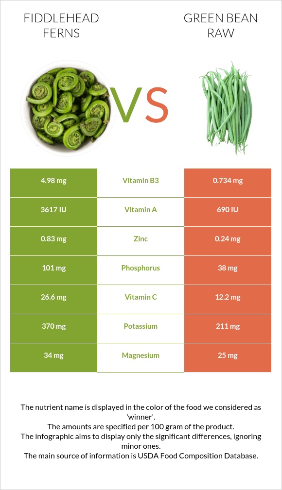 Fiddlehead ferns vs Green bean raw infographic