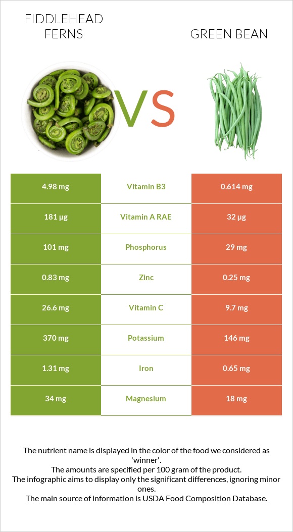 Fiddlehead ferns vs Green bean infographic