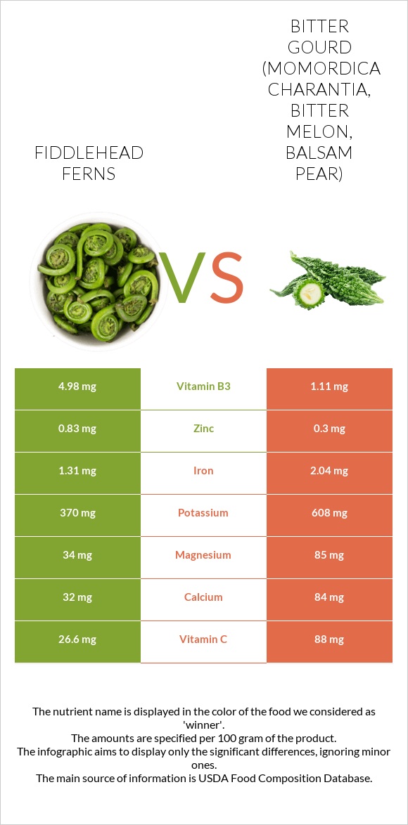 Fiddlehead ferns vs Bitter gourd (Momordica charantia, bitter melon, balsam pear) infographic
