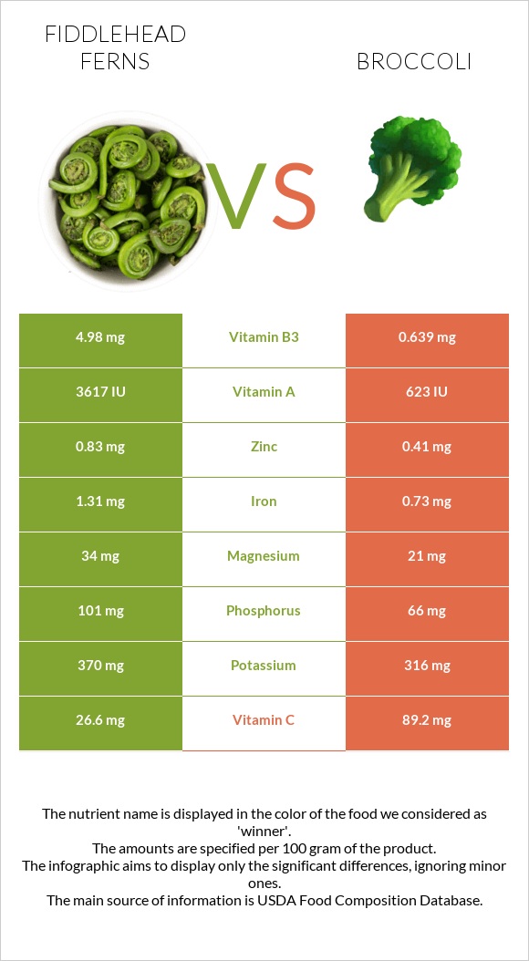 Fiddlehead ferns vs Բրոկկոլի infographic