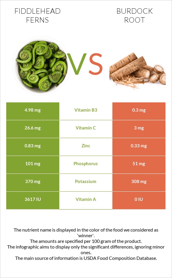 Fiddlehead ferns vs Կռատուկի արմատ (արկտի արմատ) infographic