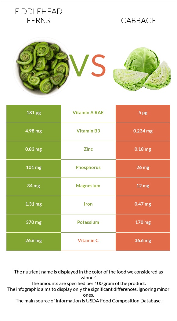 Fiddlehead ferns vs Cabbage infographic