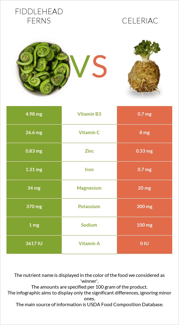 Fiddlehead ferns vs Նեխուր infographic