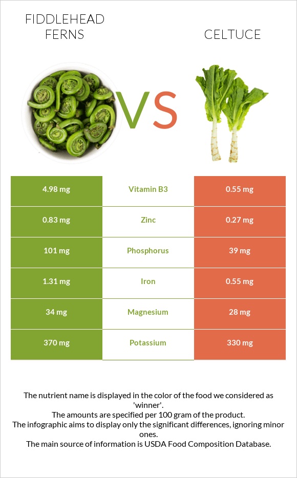 Fiddlehead ferns vs Celtuce infographic