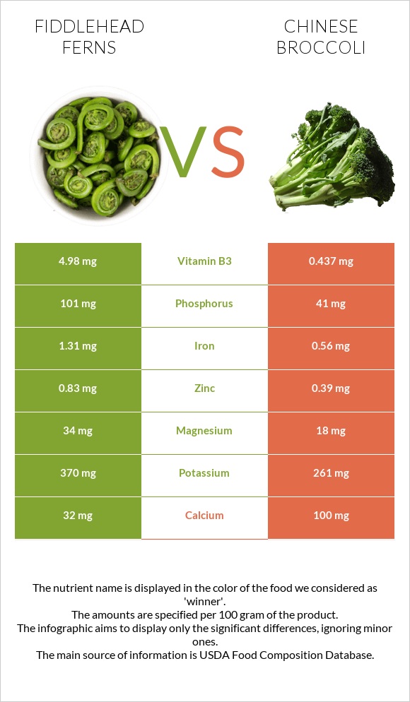 Fiddlehead ferns vs Chinese broccoli infographic