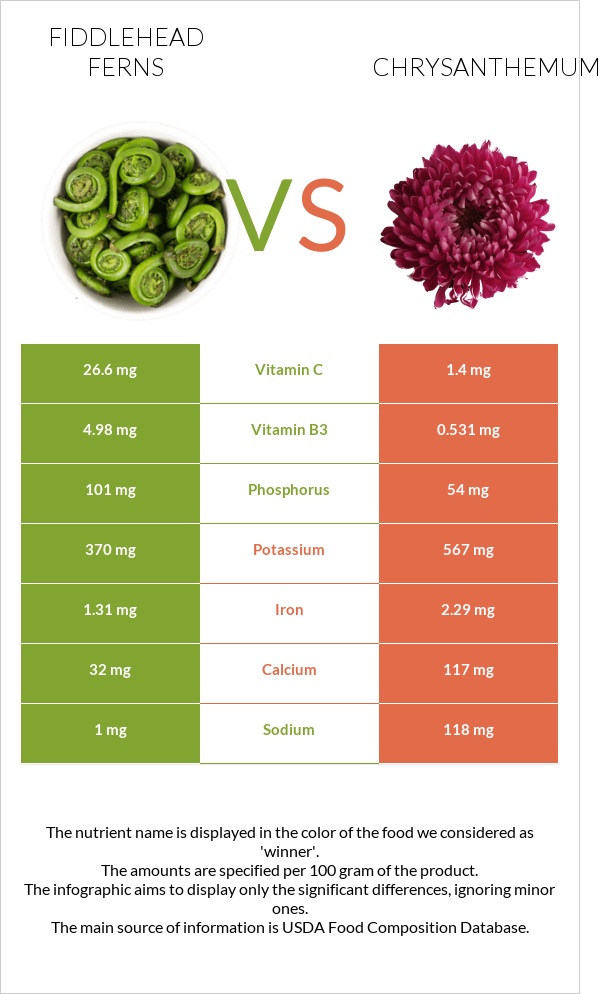 Fiddlehead ferns vs Chrysanthemum infographic