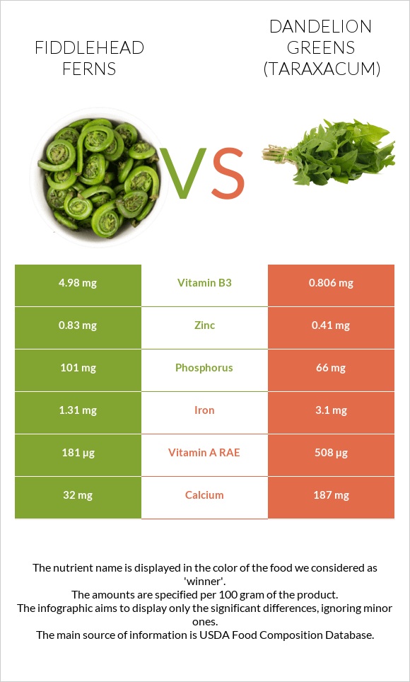 Fiddlehead ferns vs Dandelion greens infographic