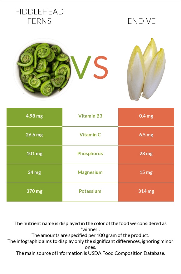 Fiddlehead ferns vs Endive infographic