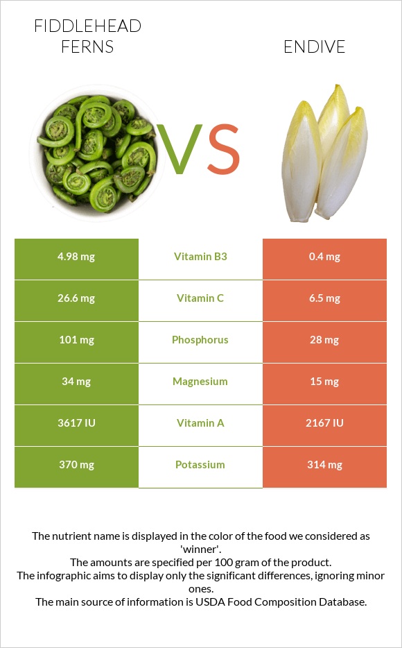 Fiddlehead ferns vs Endive infographic