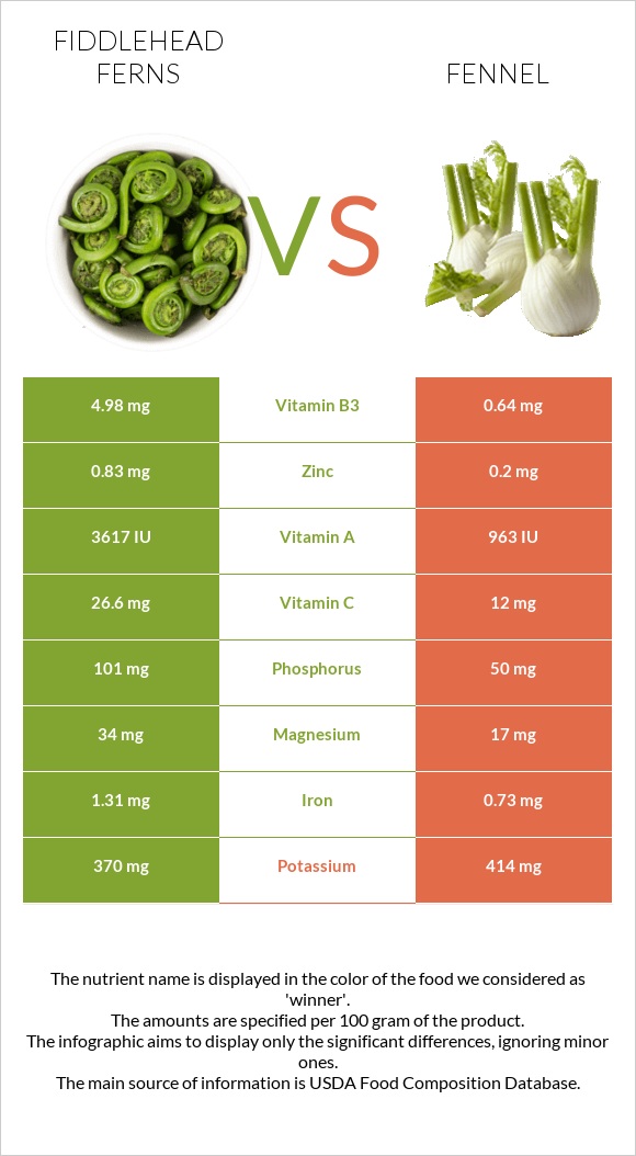 Fiddlehead ferns vs Ֆենխել infographic