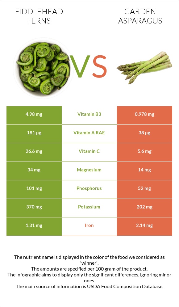 Fiddlehead ferns vs Garden asparagus infographic