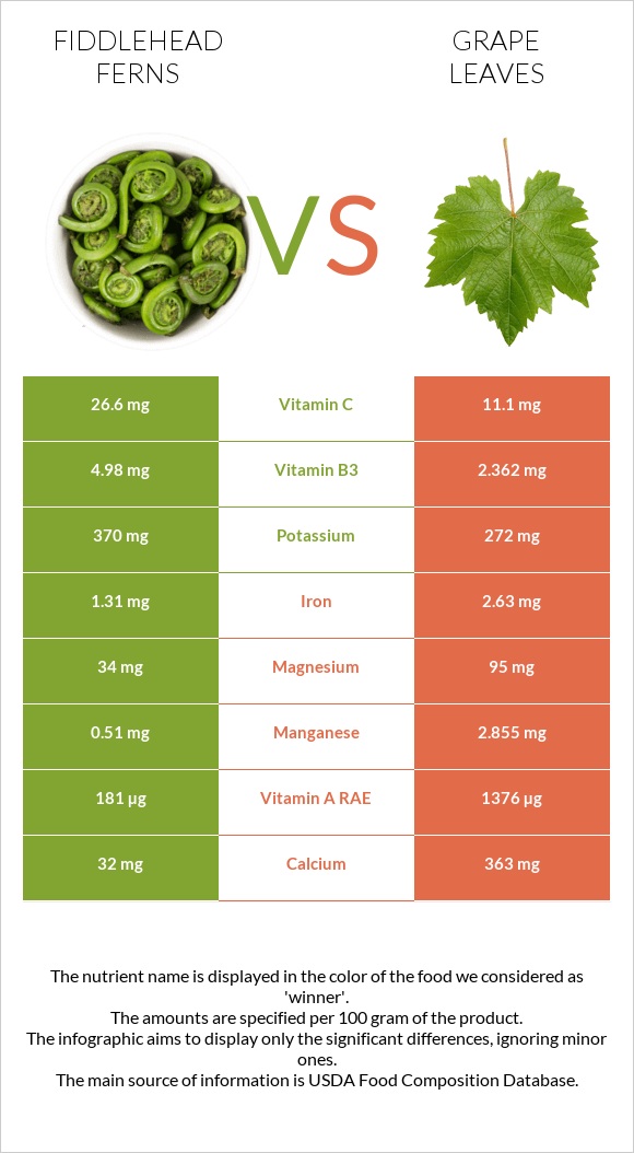 Fiddlehead ferns vs Grape leaves infographic
