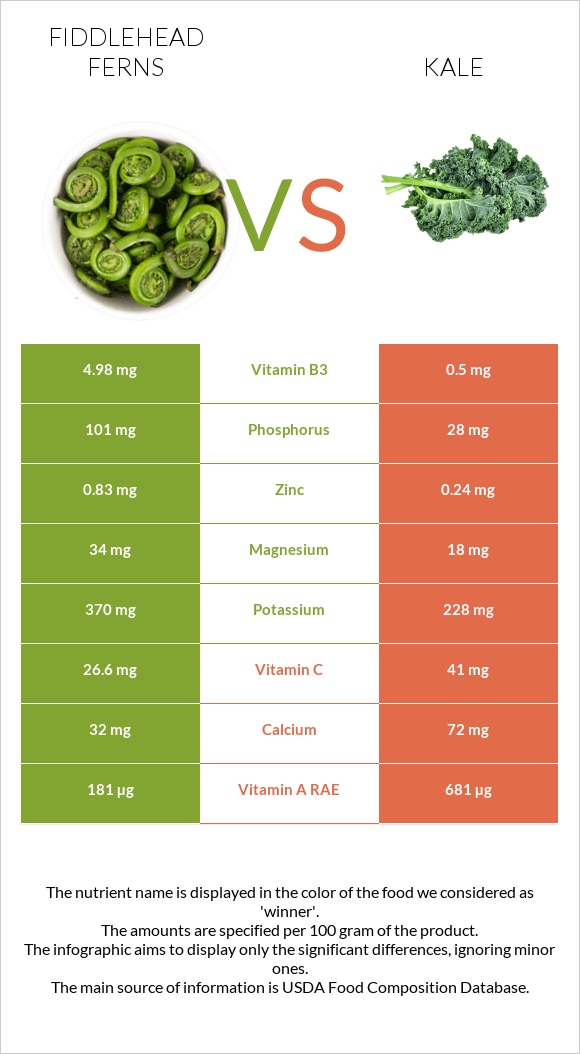 Fiddlehead ferns vs Kale infographic