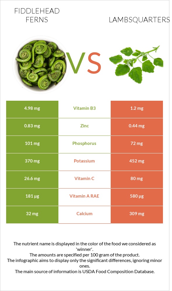 Fiddlehead ferns vs Lambsquarters infographic