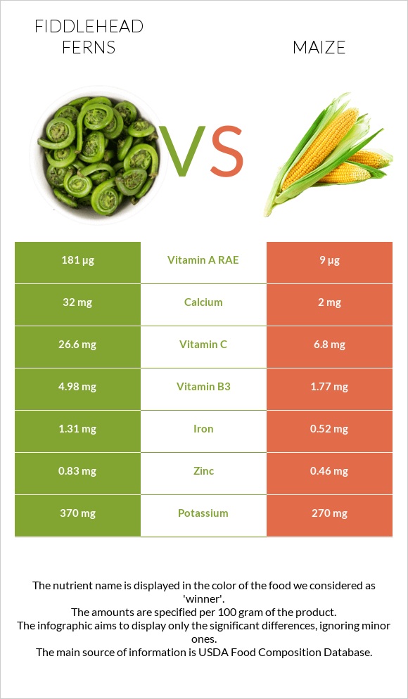 Fiddlehead ferns vs Corn infographic