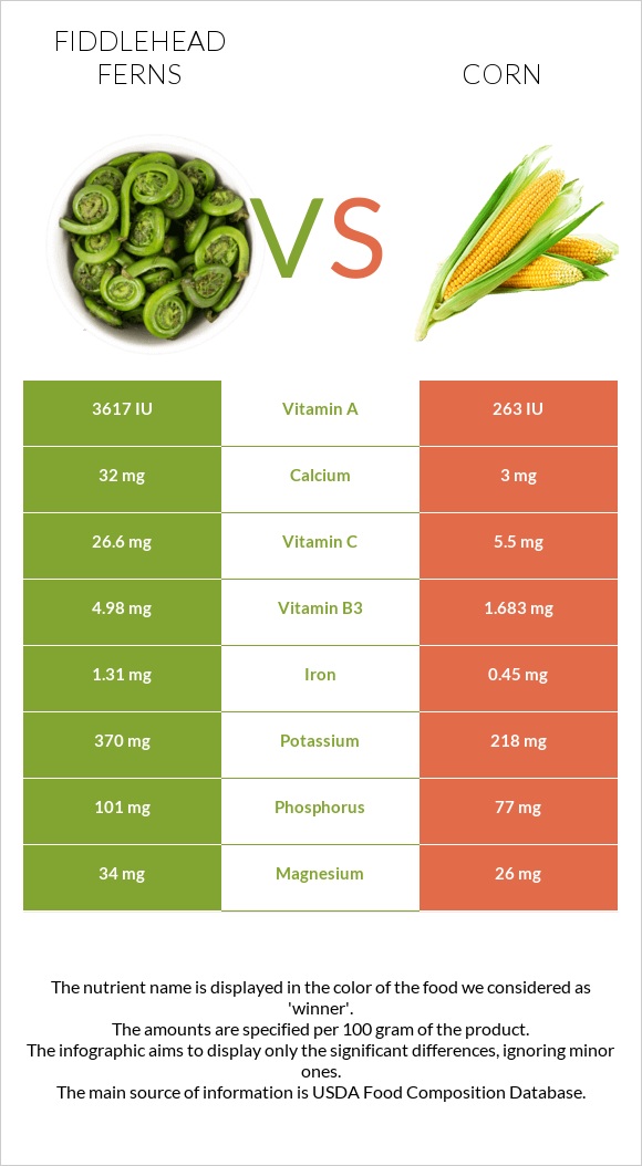 Fiddlehead ferns vs Corn infographic