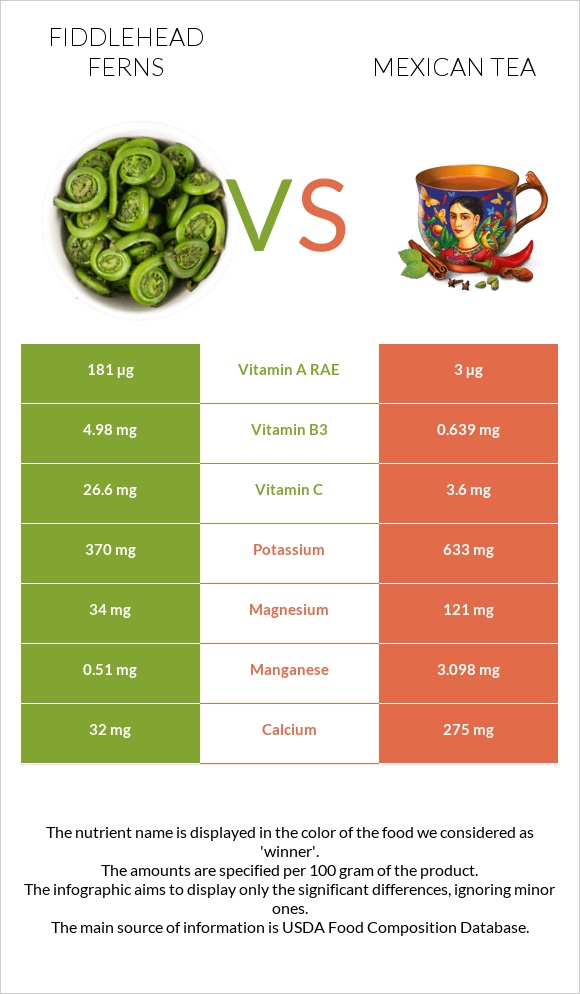 Fiddlehead ferns vs Mexican tea infographic