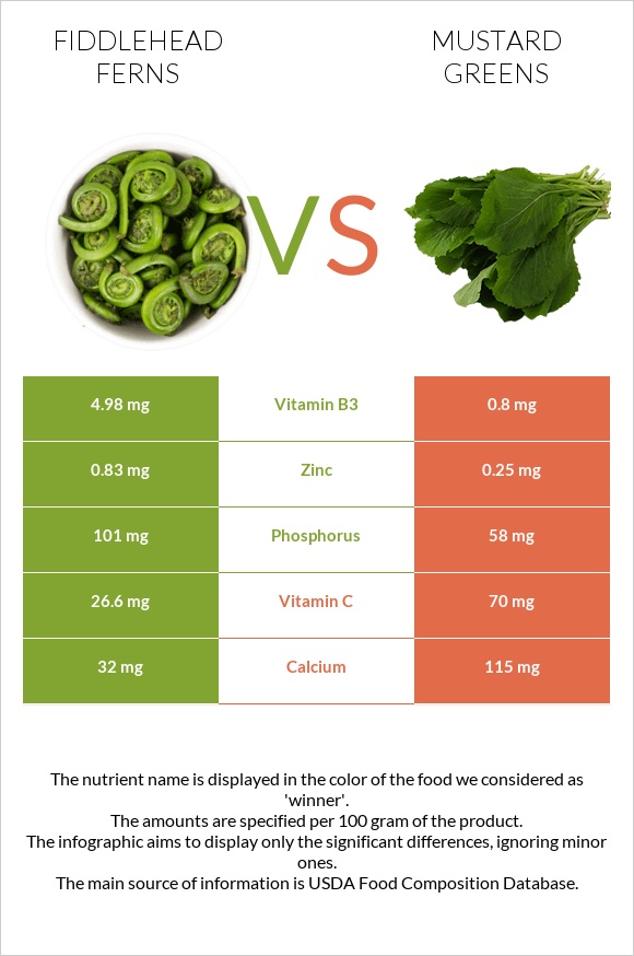 Fiddlehead ferns vs Mustard Greens infographic