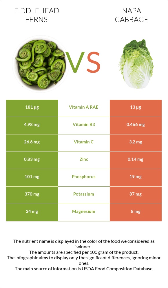 Fiddlehead ferns vs Napa cabbage infographic