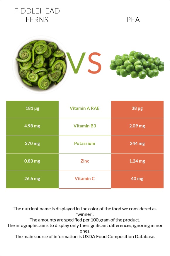 Fiddlehead ferns vs Pea infographic