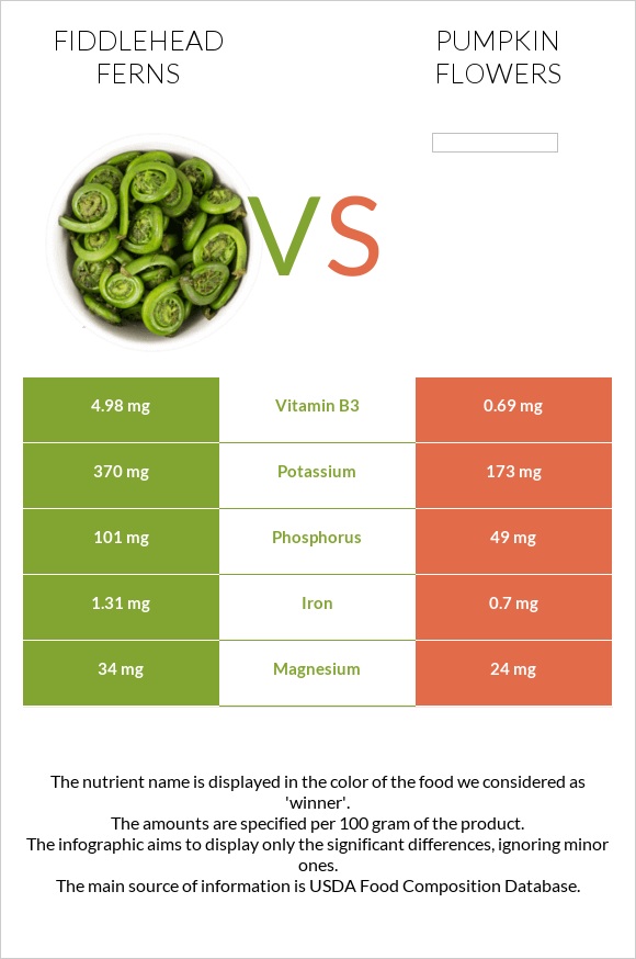 Fiddlehead ferns vs Pumpkin flowers infographic