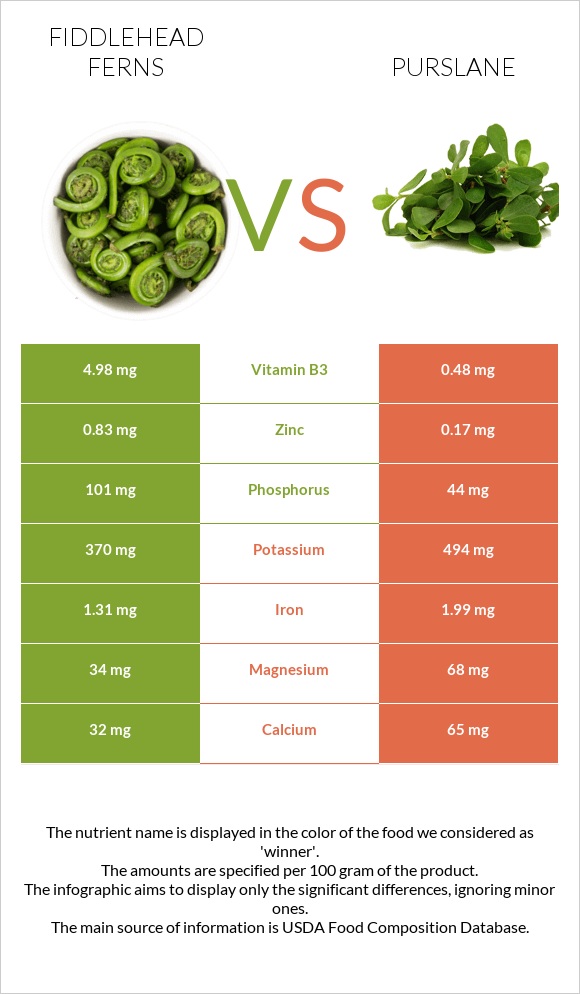 Fiddlehead ferns vs Purslane infographic