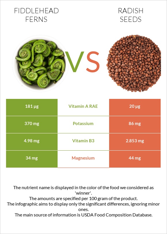 Fiddlehead ferns vs Radish seeds infographic