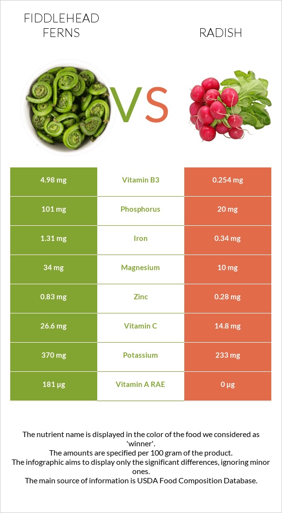 Fiddlehead ferns vs Radish infographic