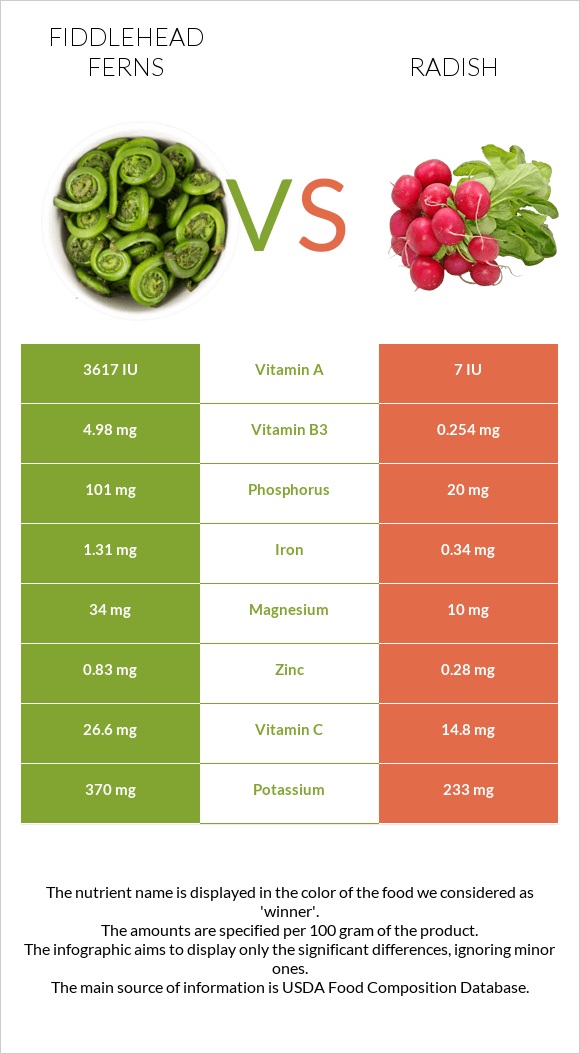 Fiddlehead ferns vs Բողկ infographic