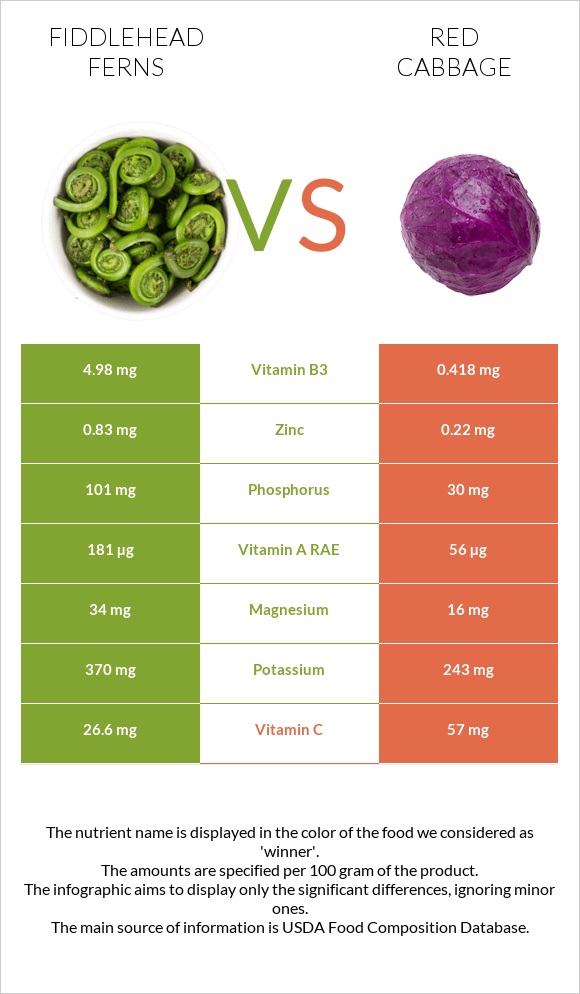 Fiddlehead ferns vs Red cabbage infographic