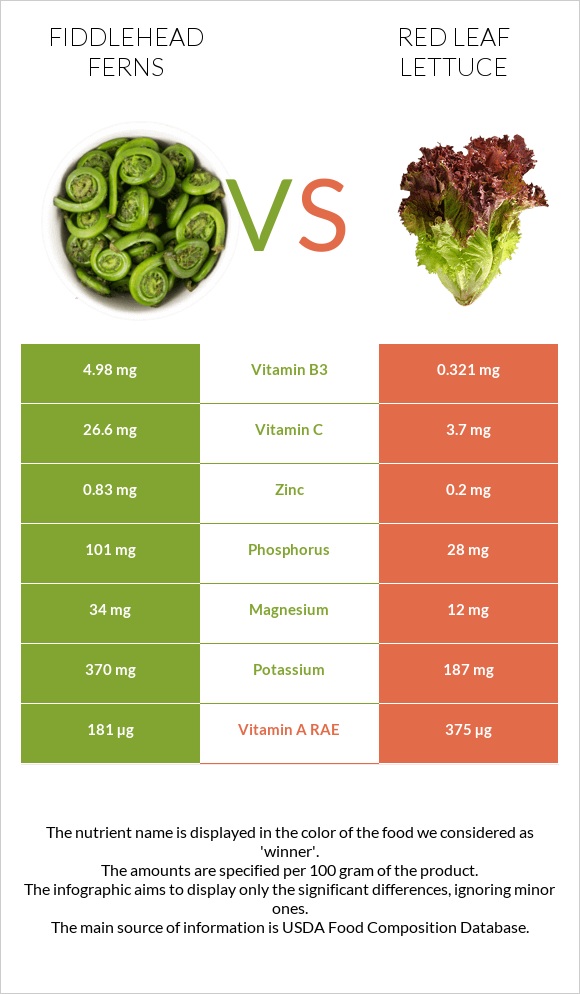 Fiddlehead ferns vs Red leaf lettuce infographic