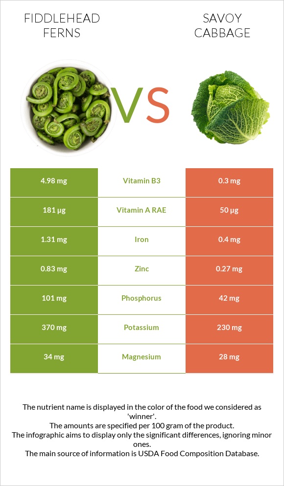 Fiddlehead ferns vs Savoy cabbage infographic