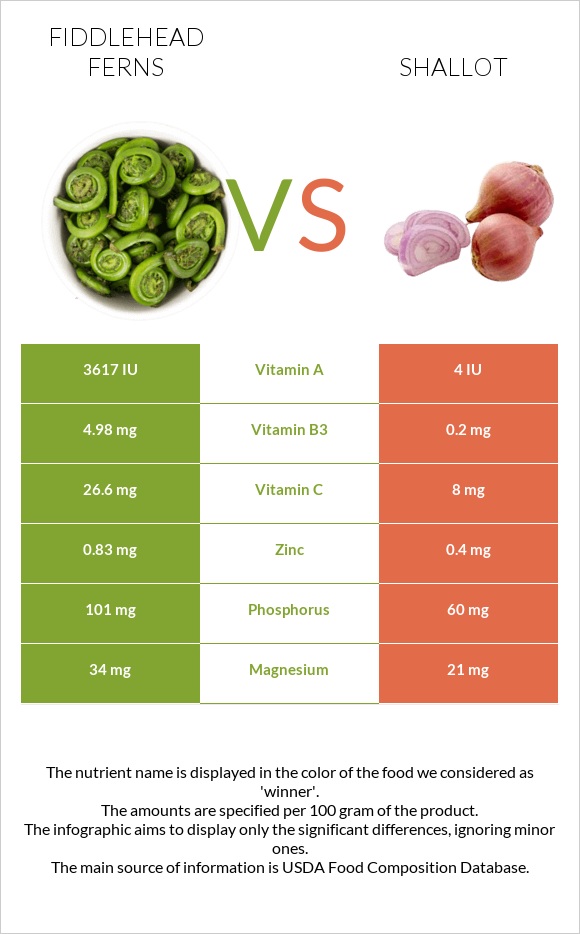 Fiddlehead ferns vs Shallot infographic