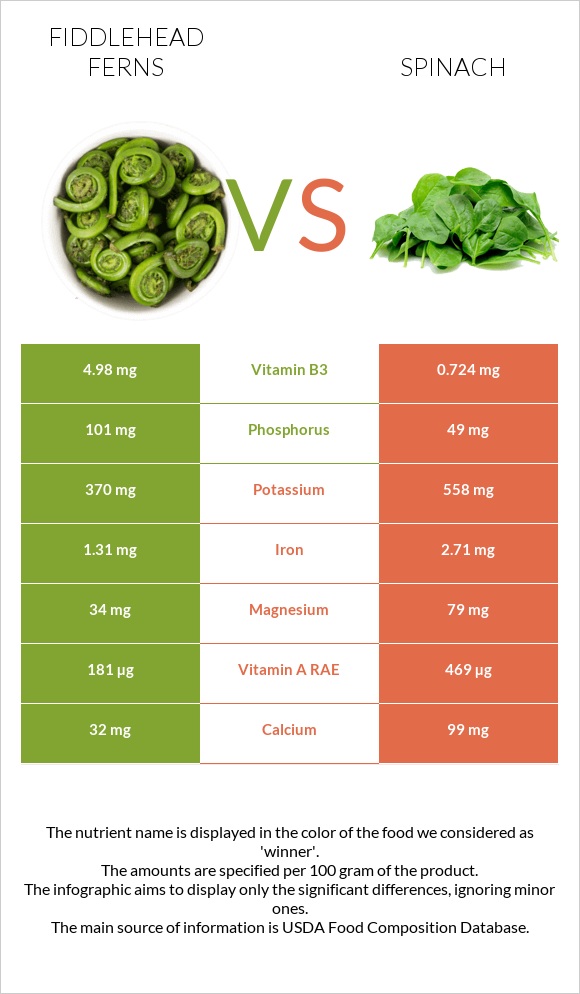 Fiddlehead ferns vs Spinach infographic