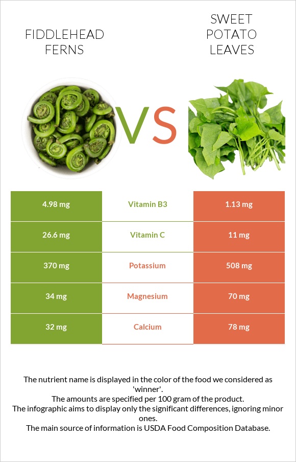 Fiddlehead ferns vs Sweet potato leaves infographic